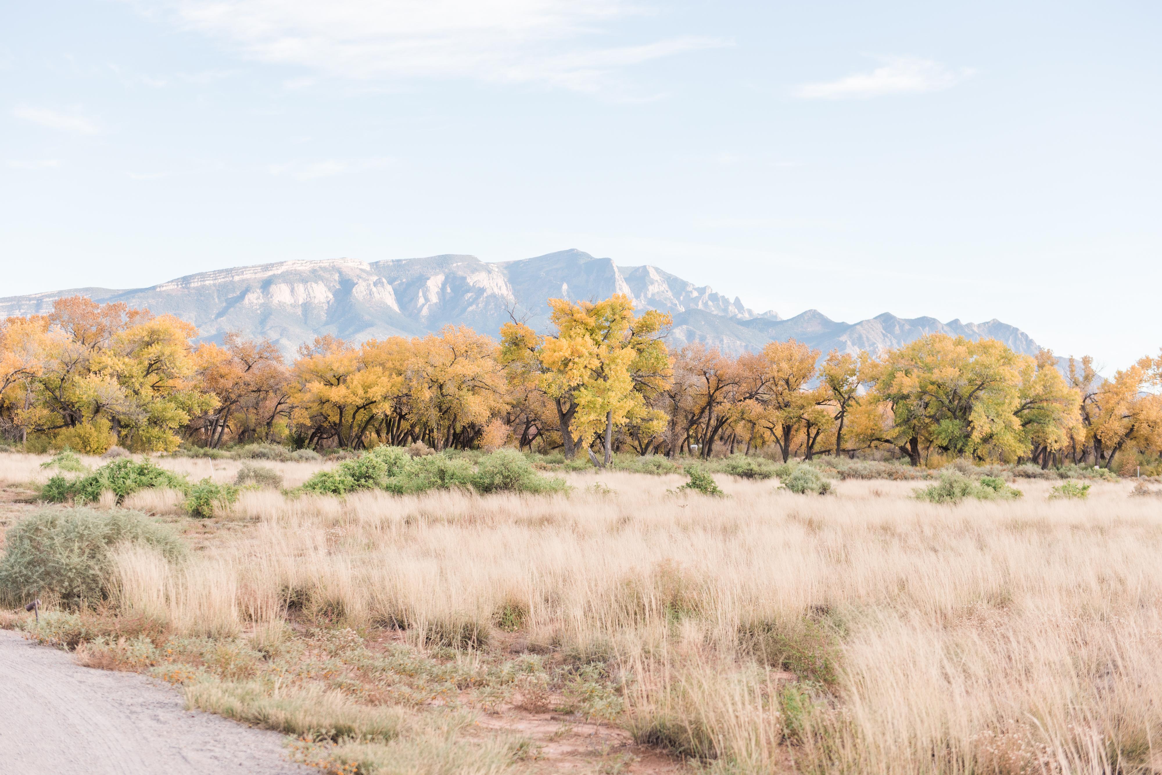 The Wedding Website of Kaitlin Greenberg and David Silver