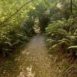 Point Defiance Park