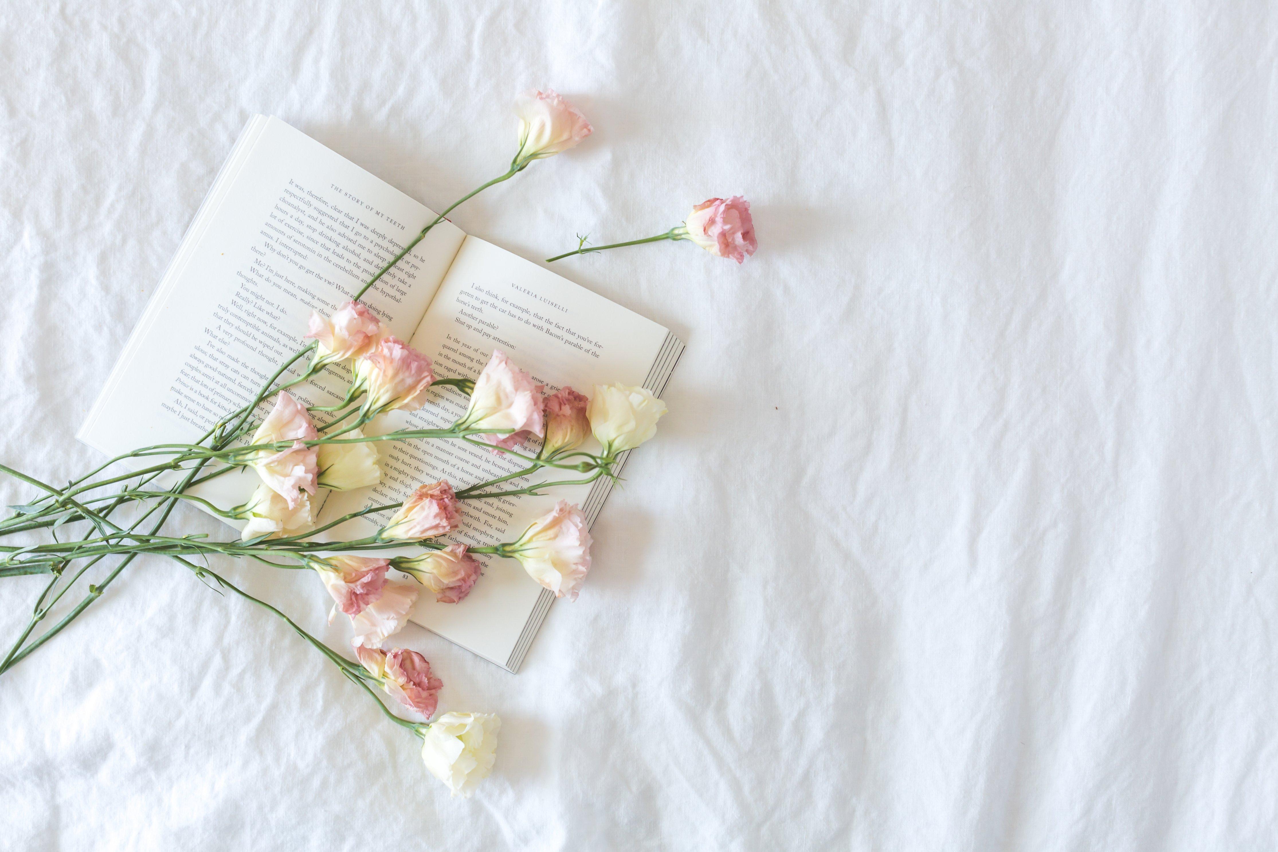 The Wedding Website of Michelle Wei and Stephen Ibañez