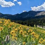 Little Cottonwood Canyon