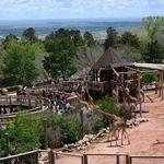 Cheyenne Mountain Zoo