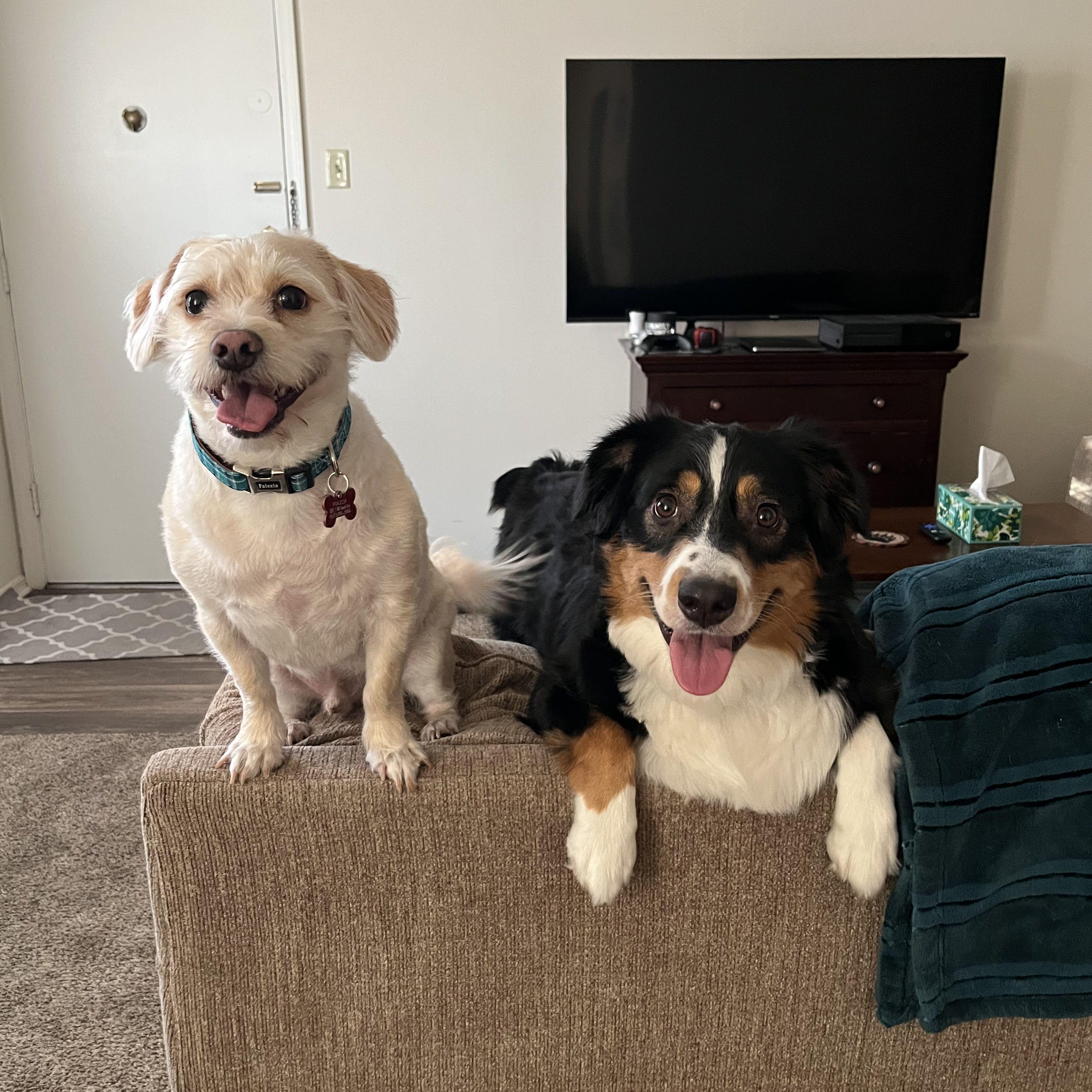 Sam & Duke Fall 2023