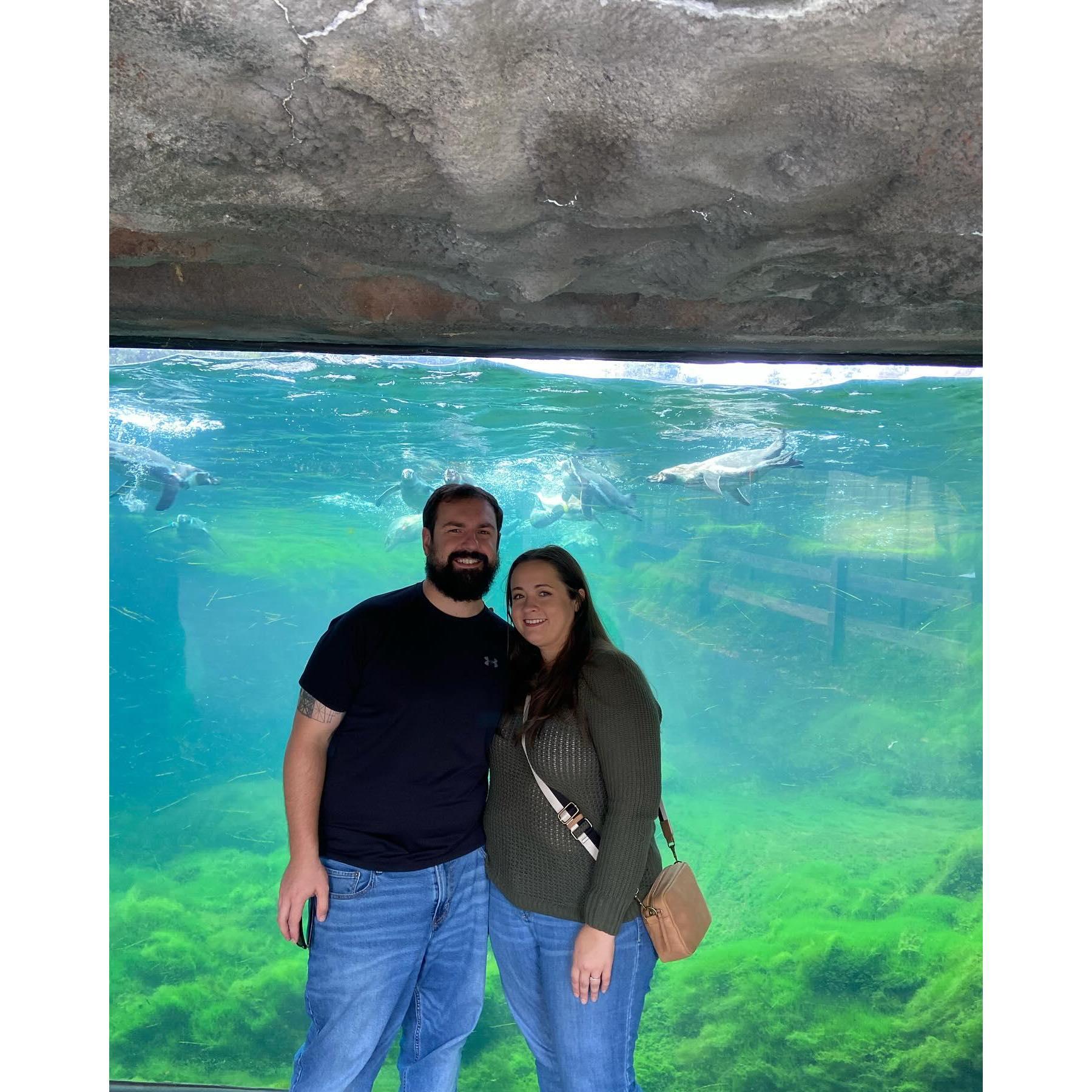 Chelsea bought us a penguin experience at the zoo which was a lifelong dream of James. We posed for a photo after spending the last hour with them in the back.