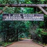 Muir Woods Visitor Center