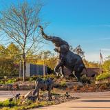Saint Louis Zoo