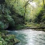 Mark Twain National Forest