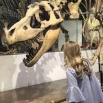 Arizona Museum of Natural History