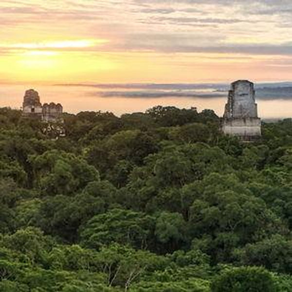 Sunrise Tour in Tikal National Park