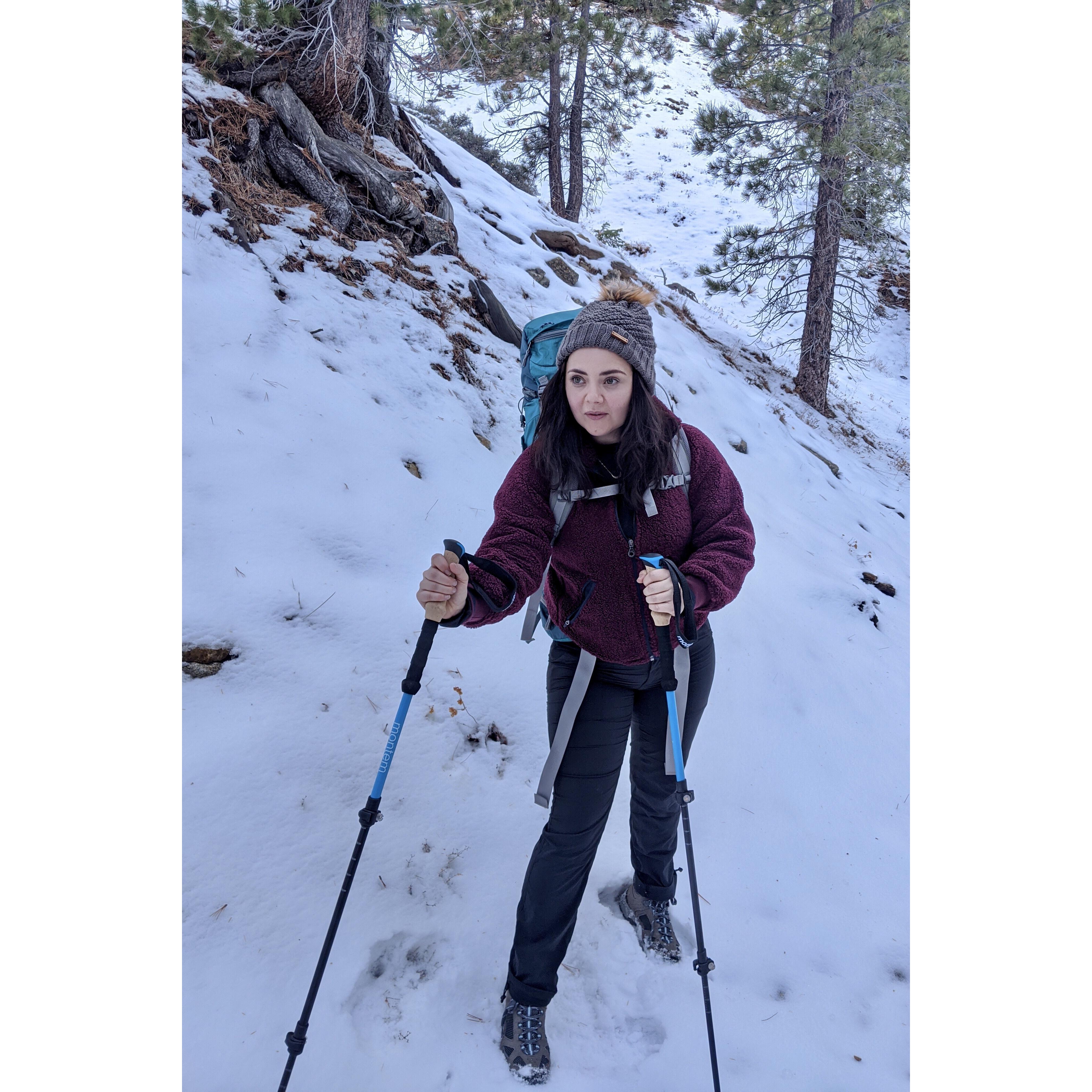 Angeles Crest Forest, CA. 2019.