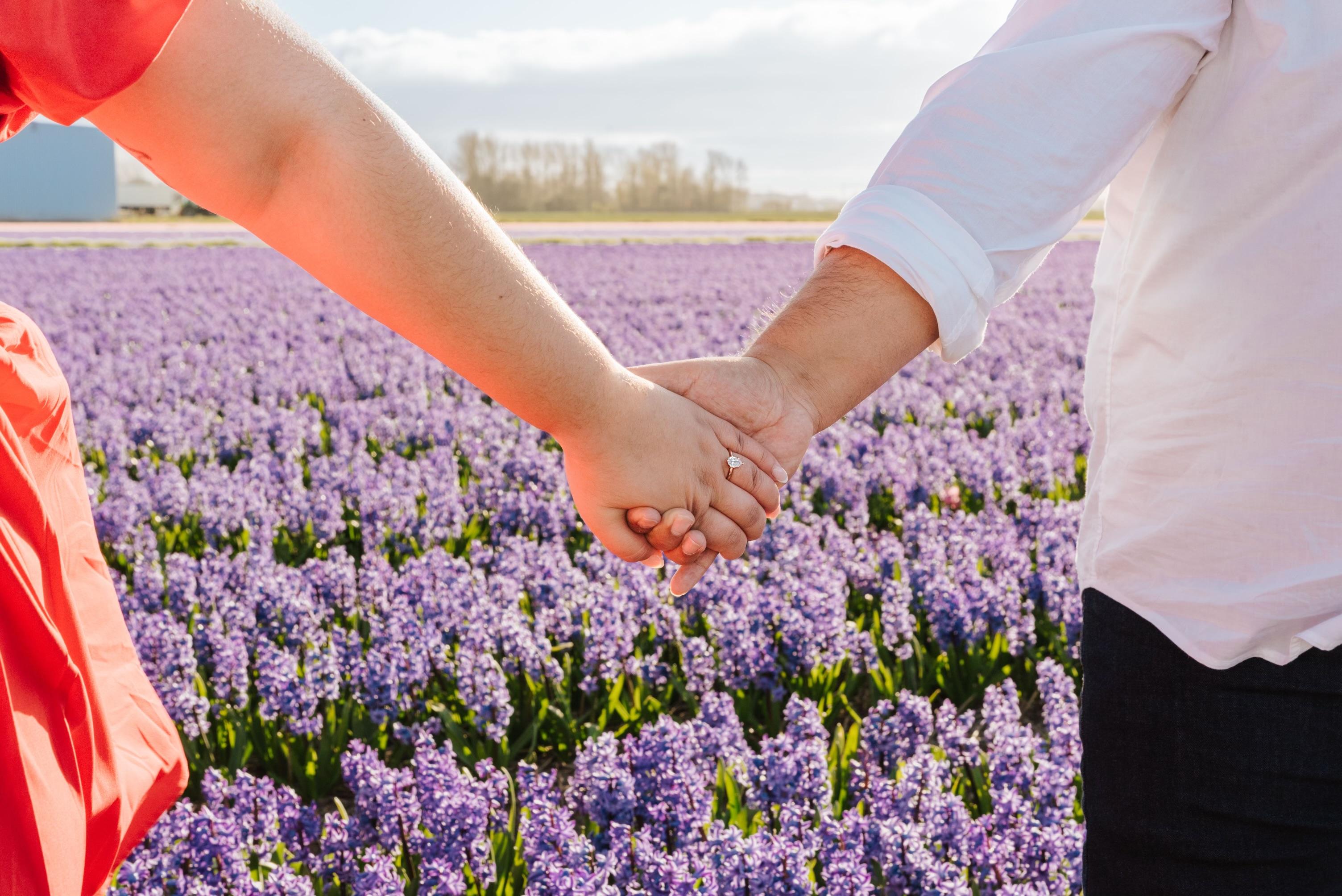 The Wedding Website of David Salinas and Riya Bhavsar