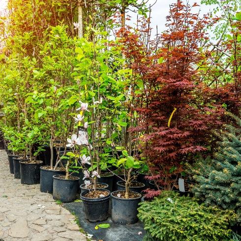 Patio Upgrade Fund