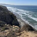 Torrey Pines State Reserve