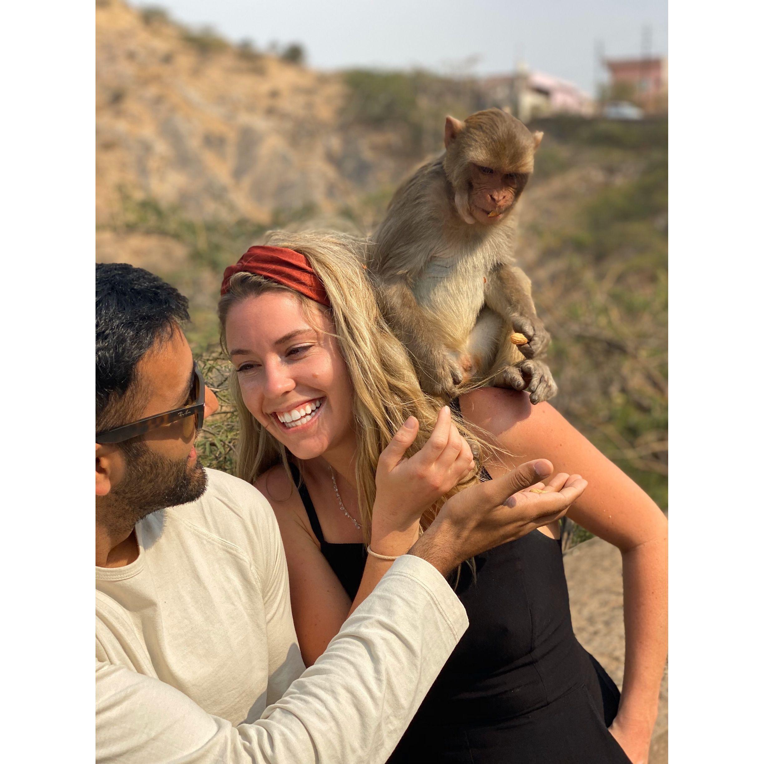 Rajasthan, India