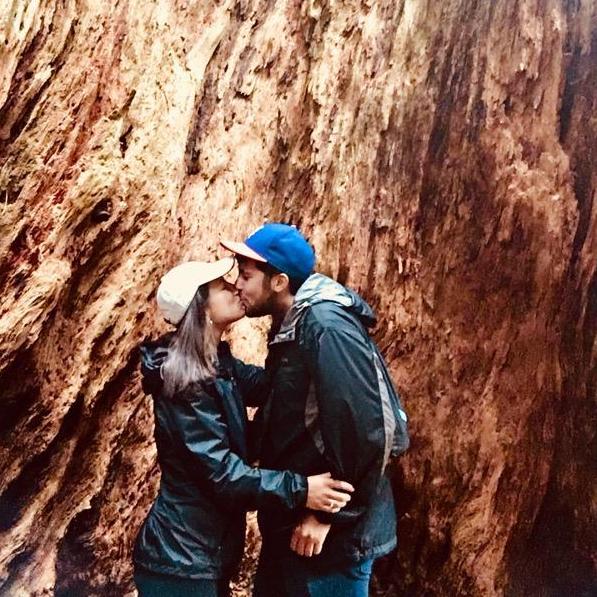 Redwoods in California!