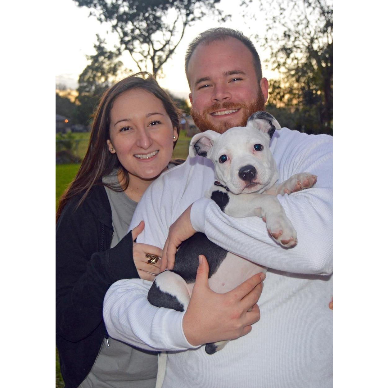 We adopted Winston. January 2016