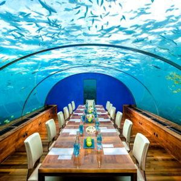 Dinner at an Undersea Restaurant