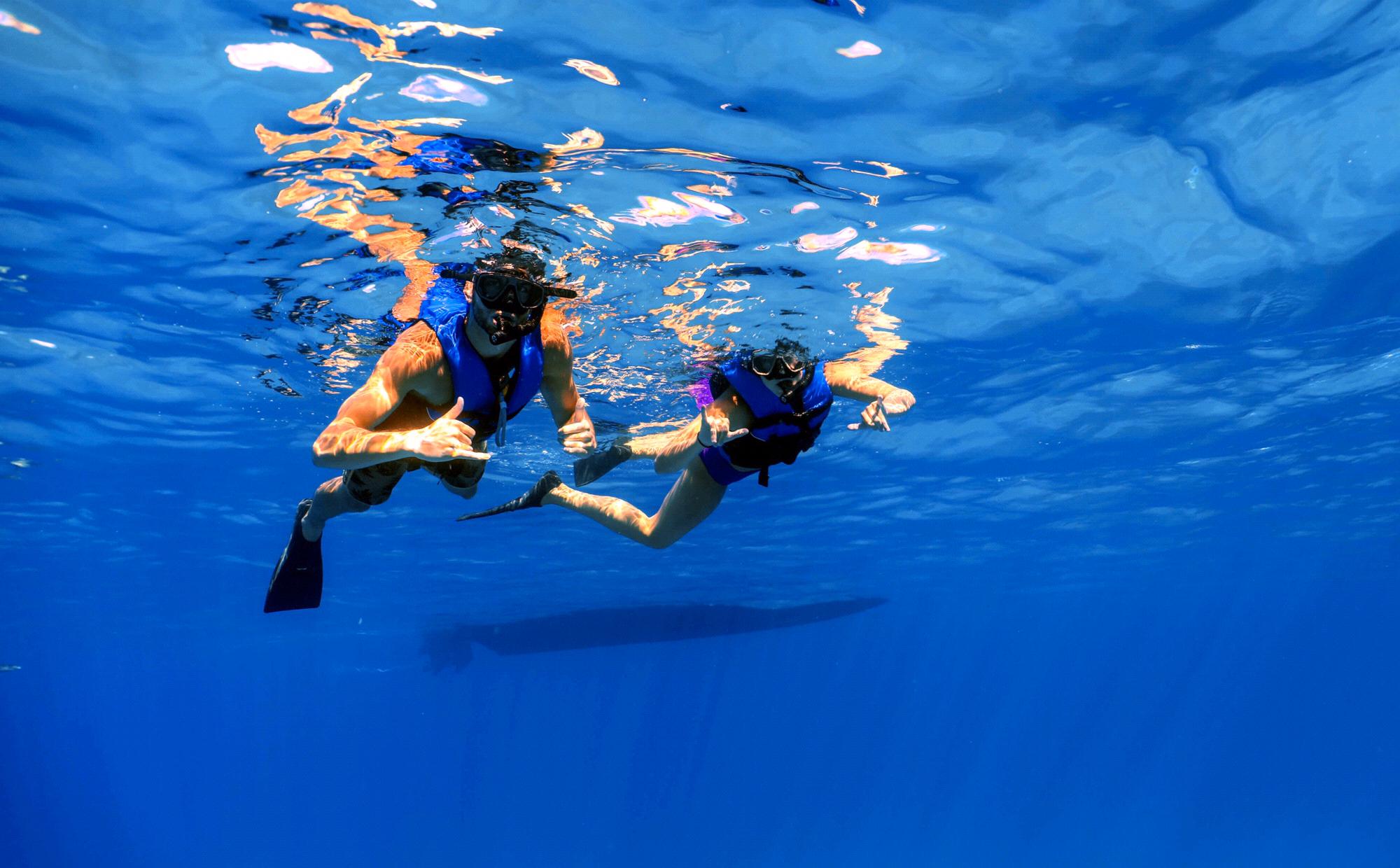 Dolphin Excursion on Oahu • July 2019