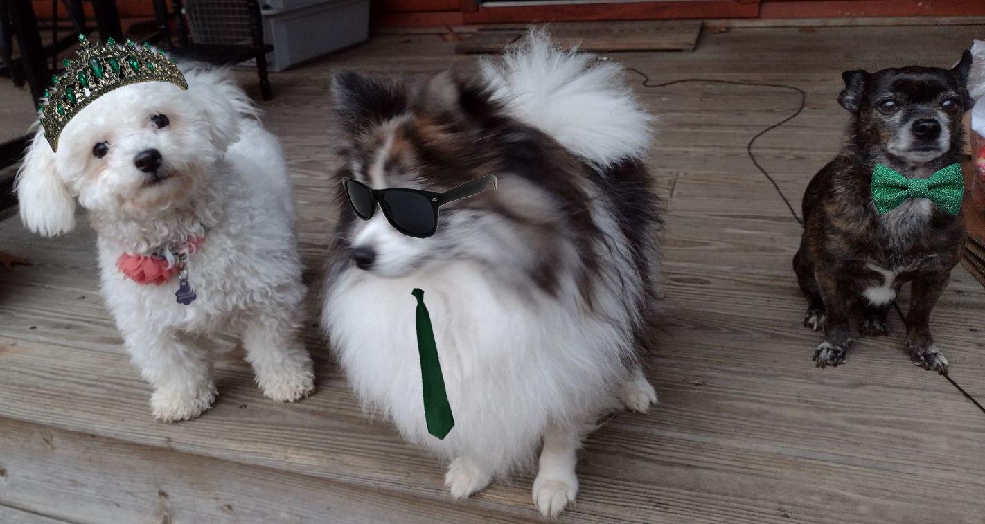 The Wedding Website of Haley Herring-Sylvestre and Jason Boisvert