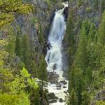 Fish Creek Falls Hike (walk)