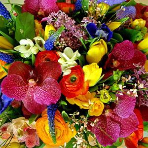 Fruit & Flowers Fund