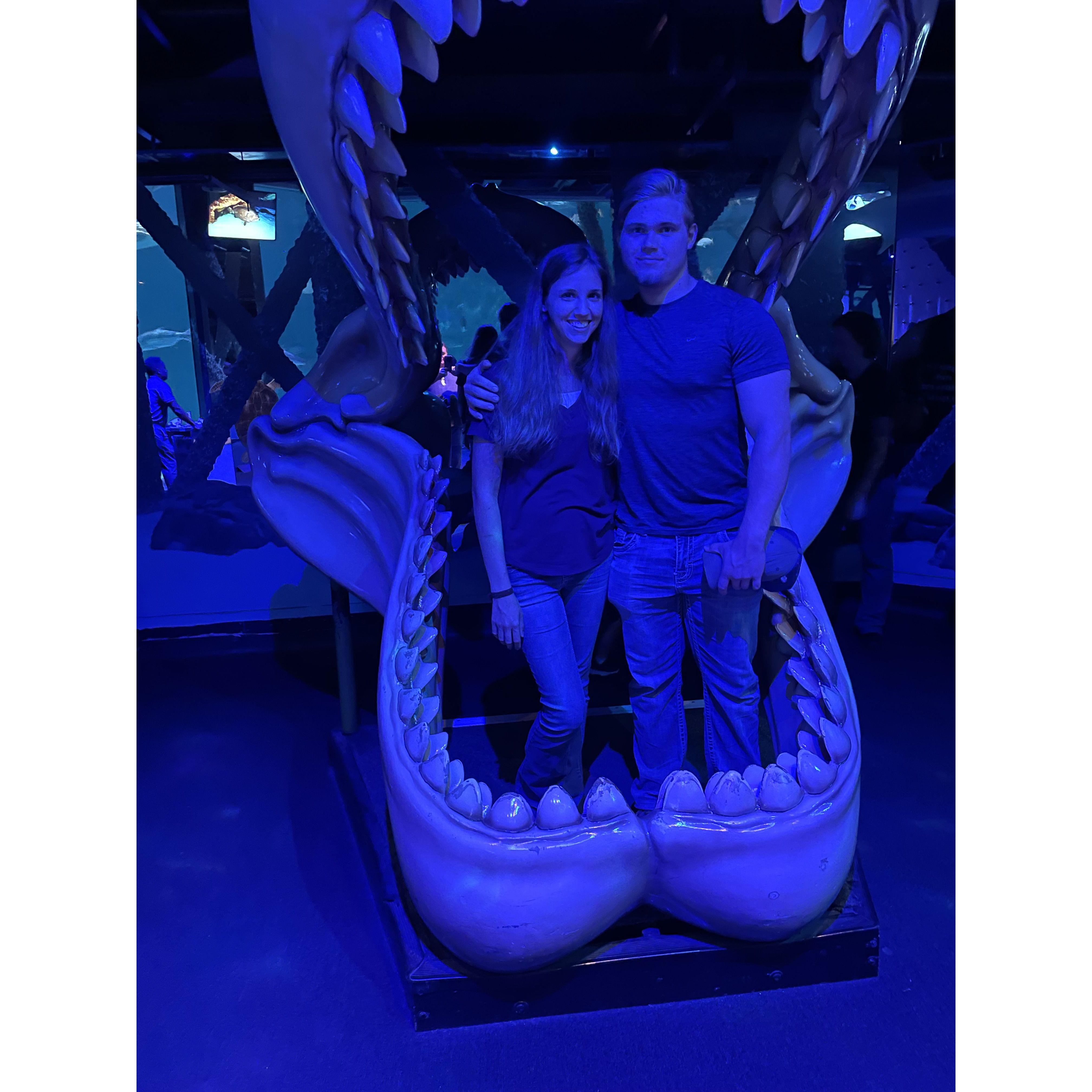 Aquarium date!