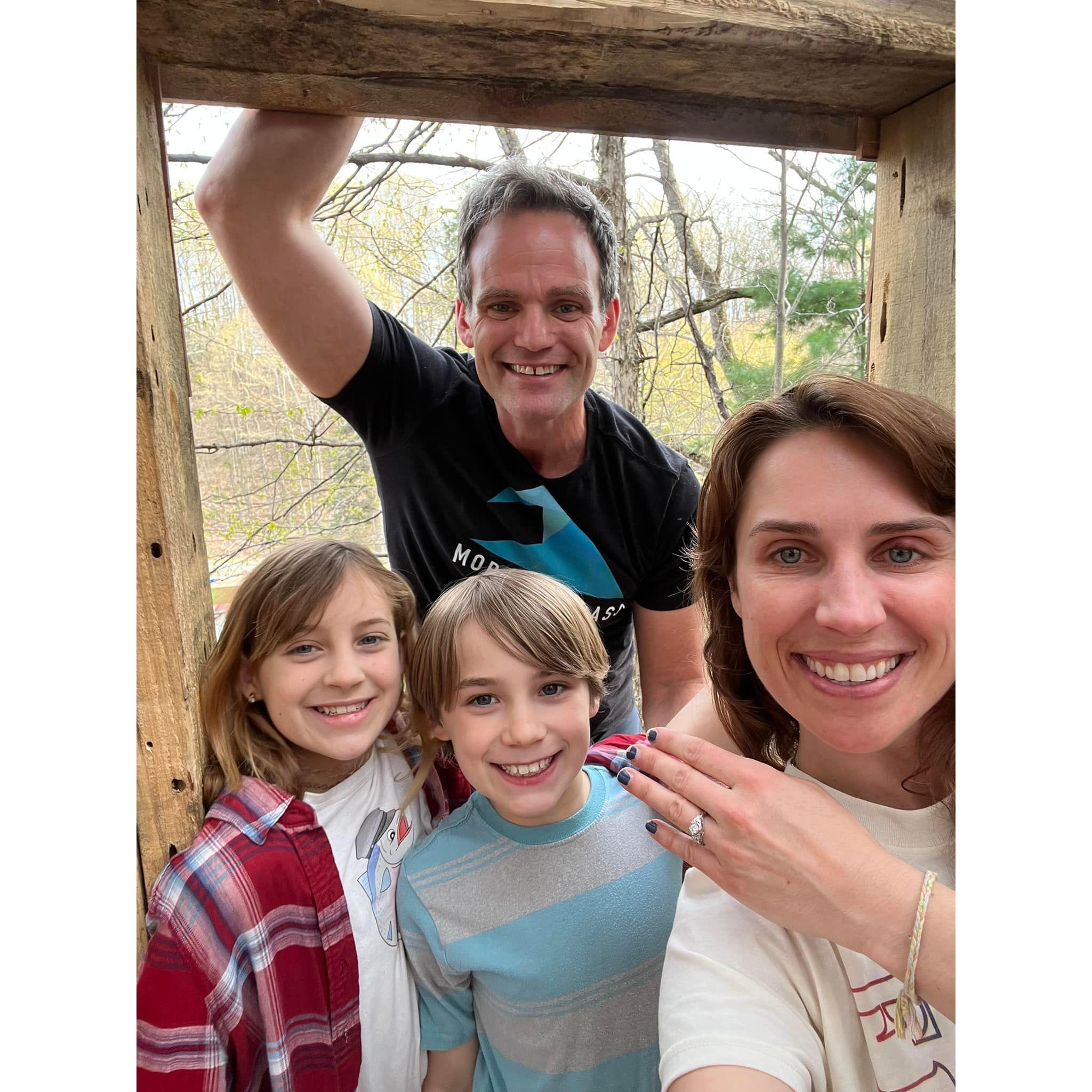 Tree house proposal!