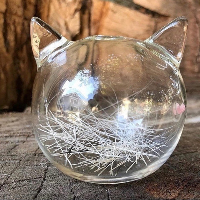 Displayable Cat Whisker Jar, Handmade Sculpture