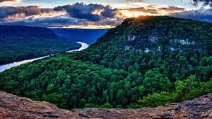 The Wedding Website of Jenny Lomas and John Wygant