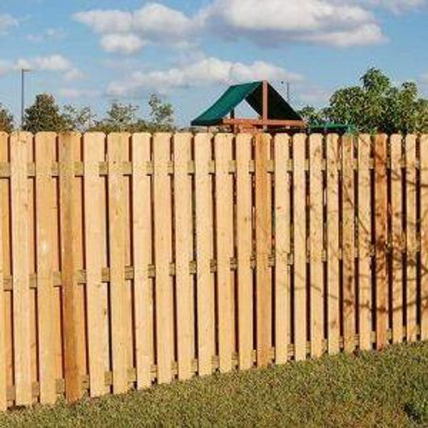 Backyard Fence