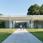 The Menil Collection