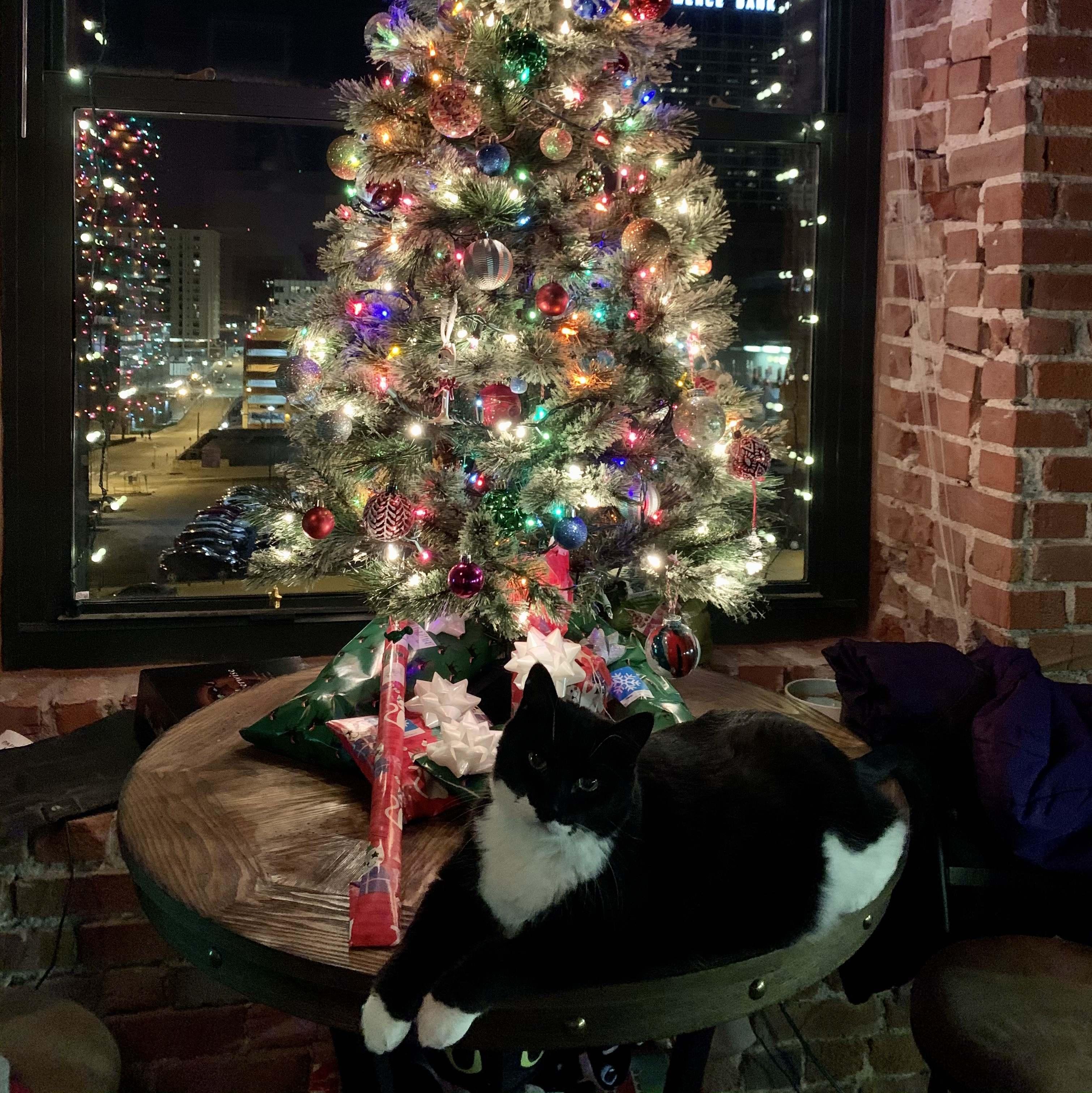 We have always enjoyed decorating for Christmas together
