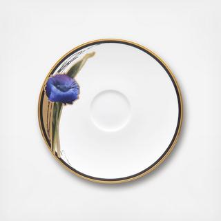 Alluring Fields Saucer