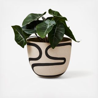 Small Outline Planter