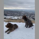 Hike at Waterworks Hill (Hills North of Missoula)