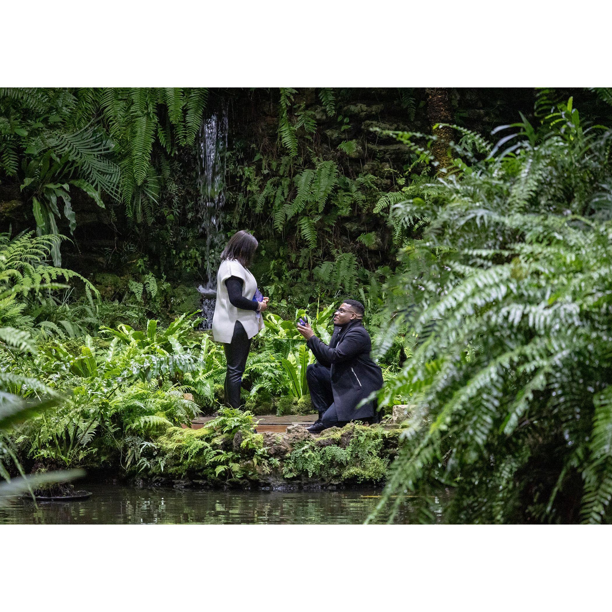 He asked, and She said YES!