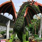 San Antonio Botanical Garden