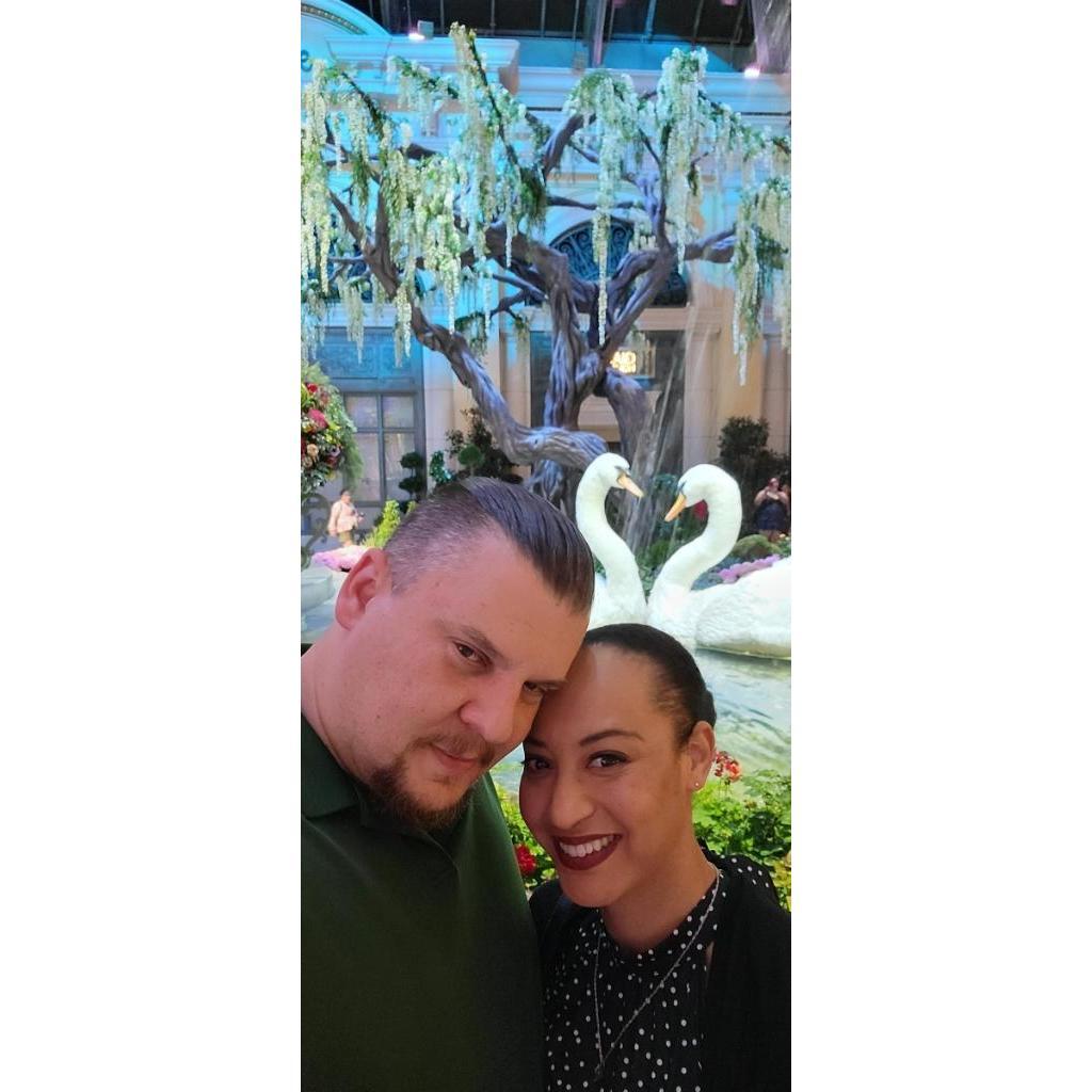 Engagement Photos at Bellagio Flower Conservatory