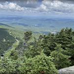 Killington Peak via Bucklin Trail Hike