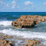 Coral Cove Park