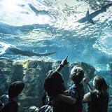 Oceanopolis