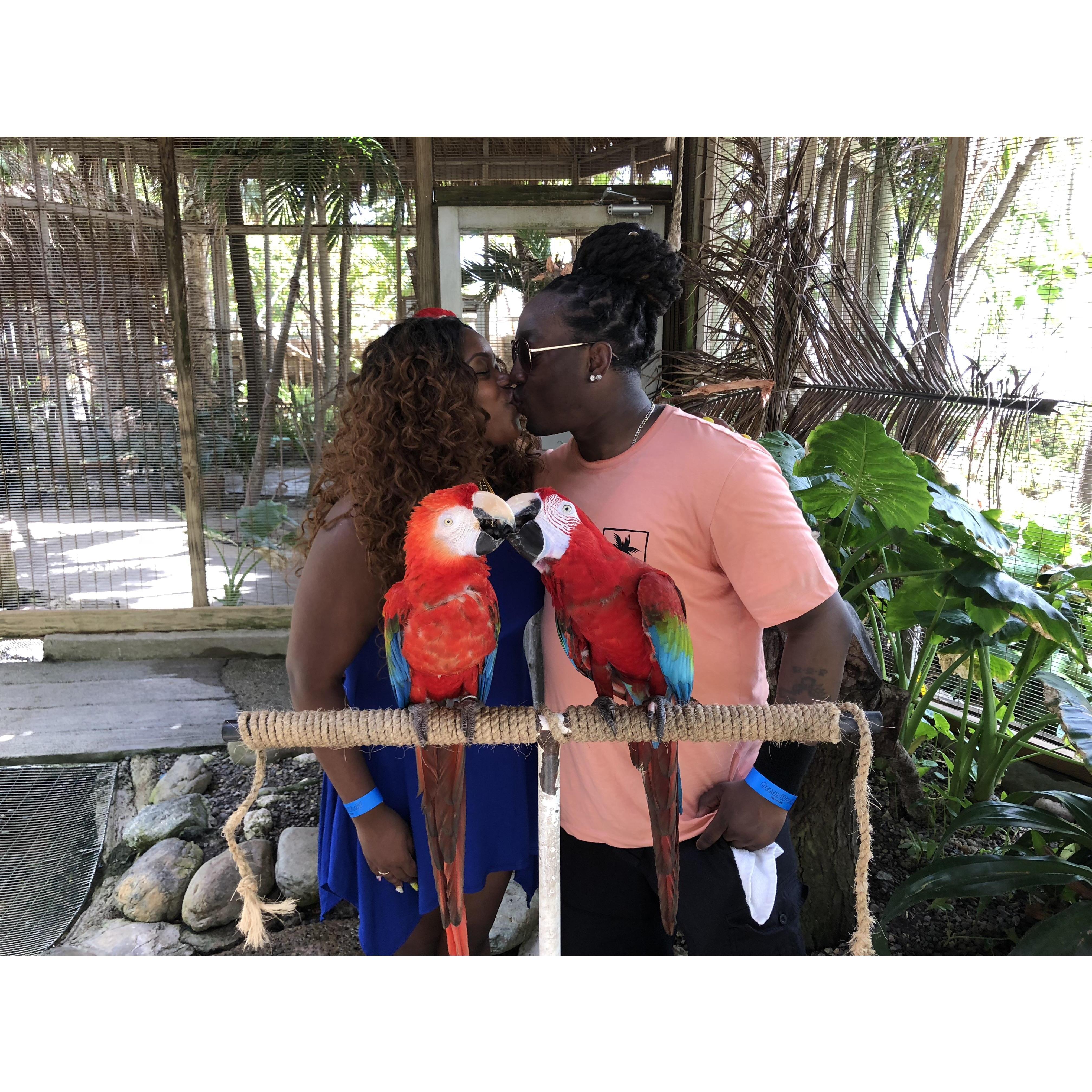 Dominican Republic on a Carnival Cruise