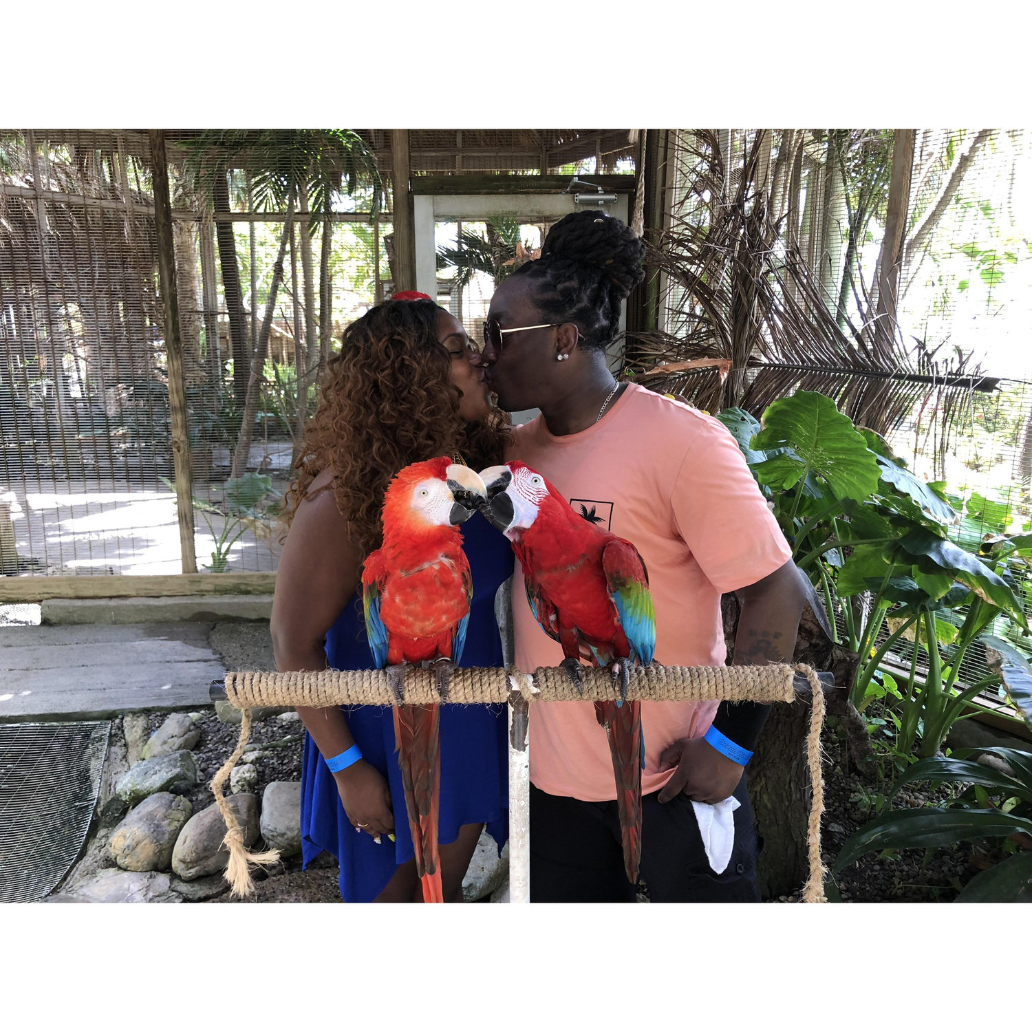 Dominican Republic on a Carnival Cruise