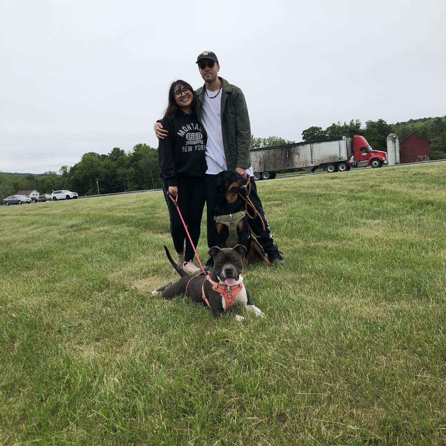 Our first two babies 🐶 🐶