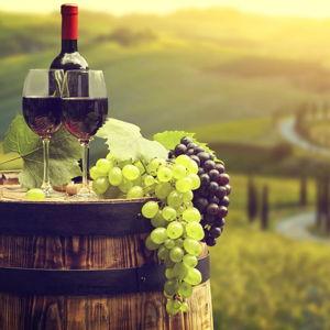 Wine Tasting in Tuscany