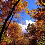 Boone County Arboretum