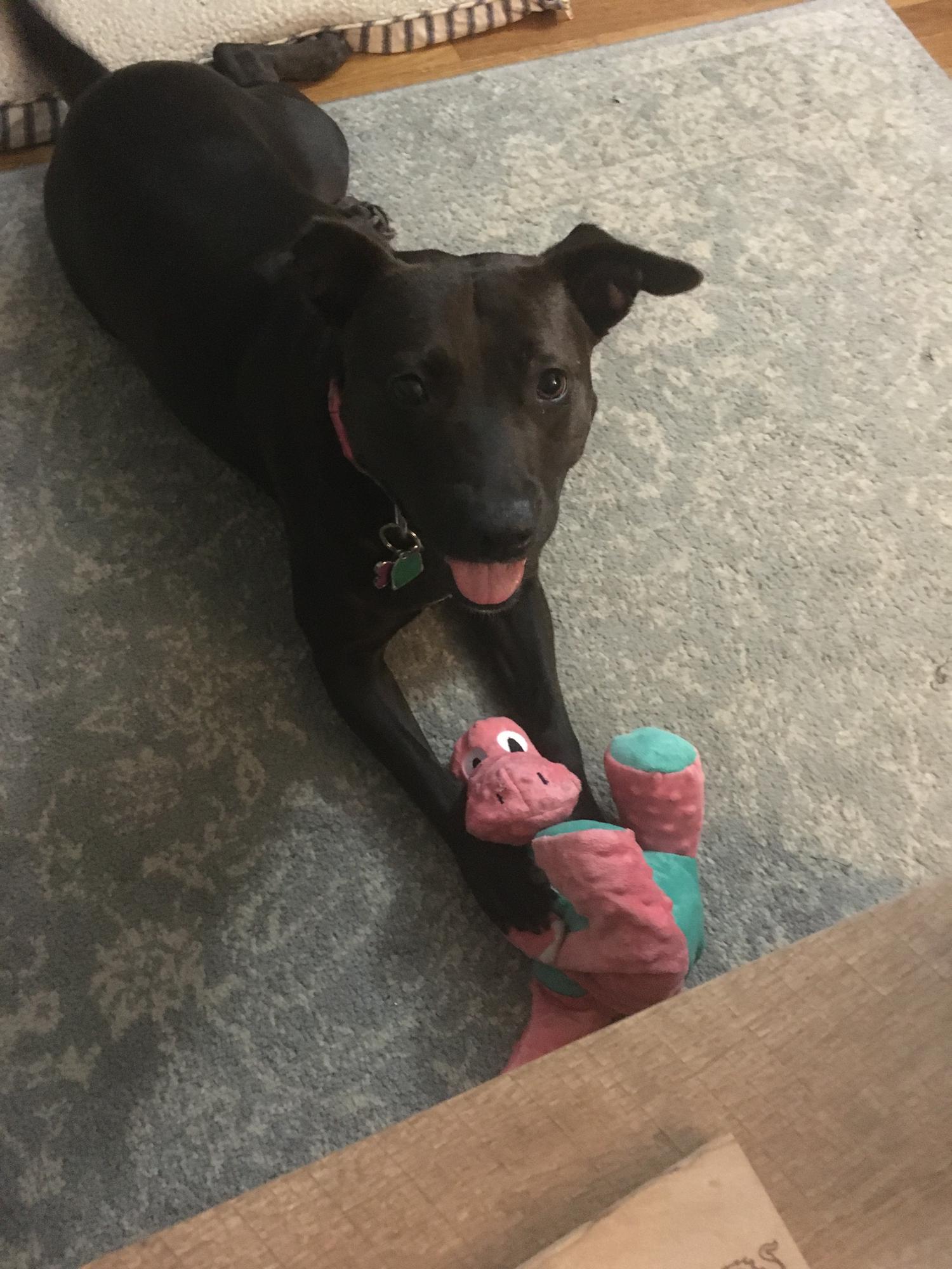 The newest addition to our family, Claire.