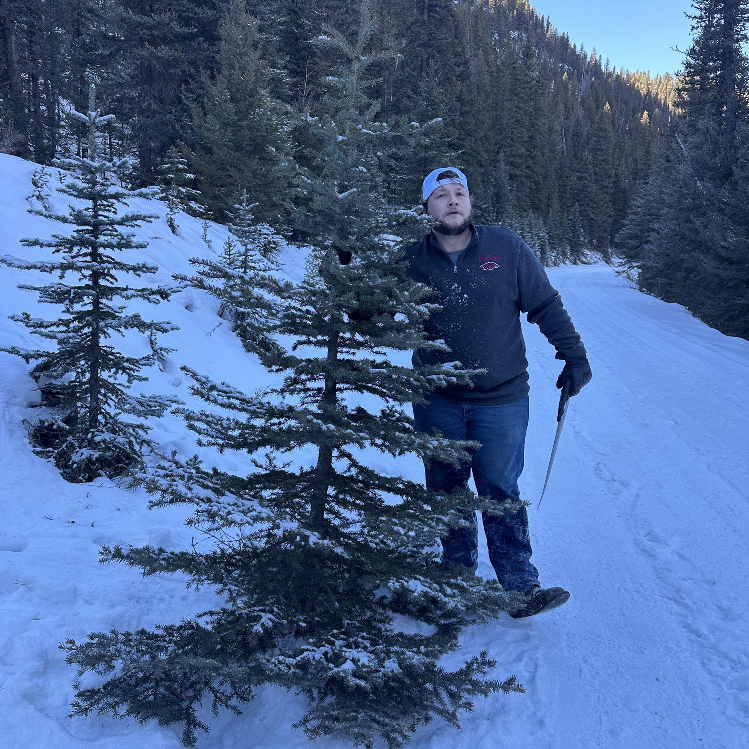 Our First Christmas Tree and Jake cut and carried it all the way