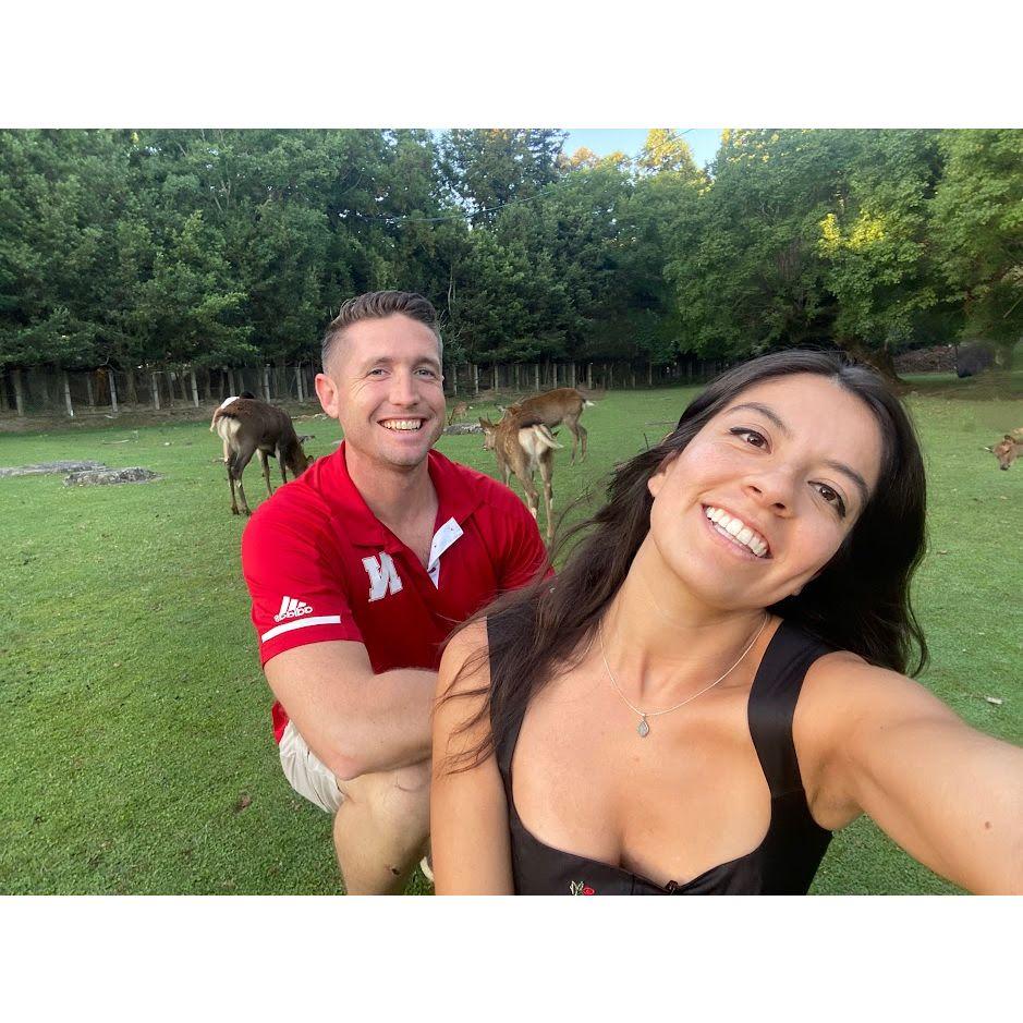 Hung out with deer in Nara, Japan