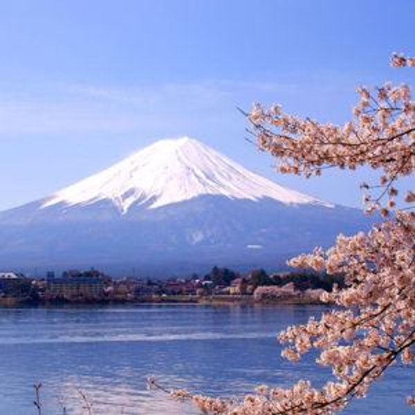 Mt. Fuji Private Onsen