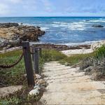 Asilomar State Beach